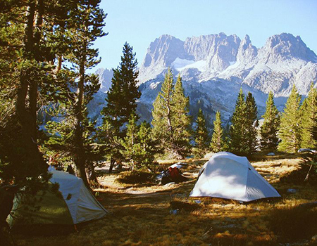 563d8d2ef6f1aa5772067dd1a0b6e809 1