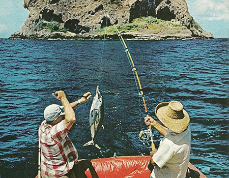 C3f6a09be792a70ee1035f4aecdff4e0 1