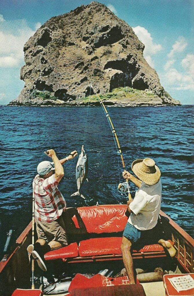 C3f6a09be792a70ee1035f4aecdff4e0 670x1024