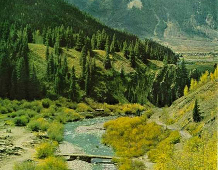 F9504cd18ce74b95d780dc1803e48e14 1